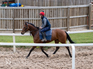 BP140425-22 - Squire Danagher (red hat)